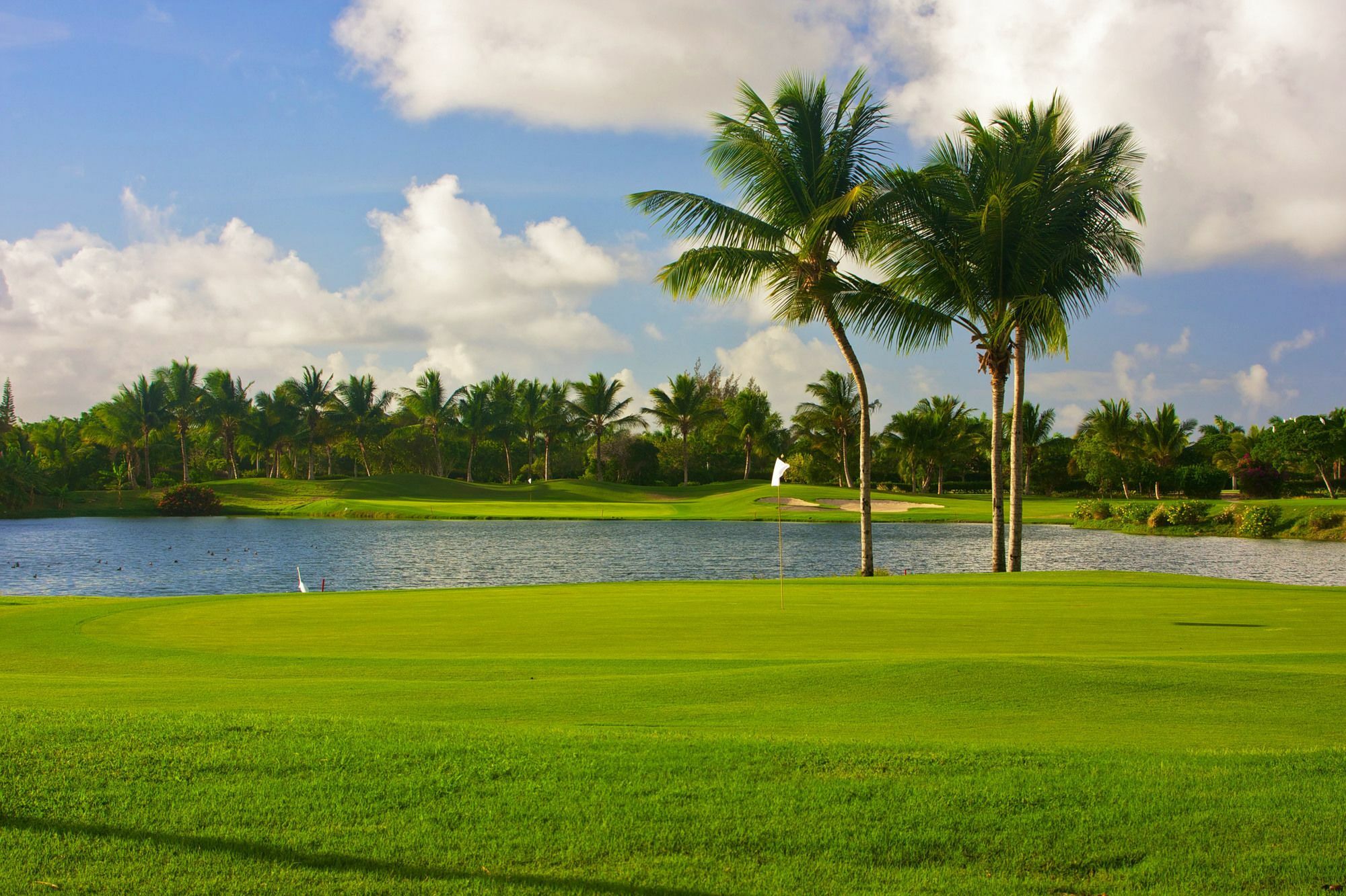 Hotel Royal Service At Paradisus Palma Real (adults Only) 5*